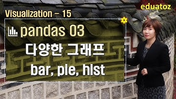 [python][visialization-15] pandas-03 다양한 그래프 (bar, pie, hist)