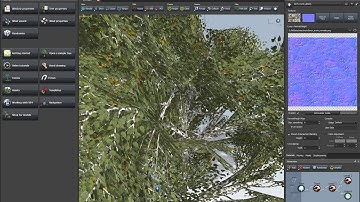 Custom SpeedTree birch with photogrammetry