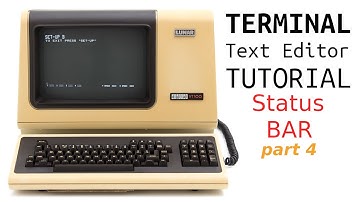 Programming a Text Editor in Go - Status Bar