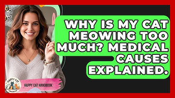 Why Is My Cat Meowing Too Much? Medical Causes Explained. - Happy Cat Handbook