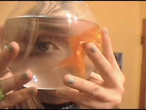 Fionn - Goldfish (Lyric Video)