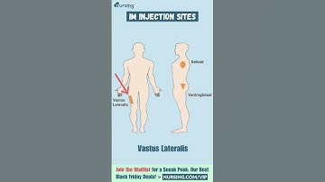 IM Injection Sites- Nursing Skills #shorts #Scrubcheats #Blackfriday#rn #nursing #nursingschool