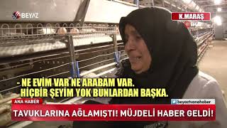 Tavuklarına ağlamıştı! Müjdeli haber geldi!
