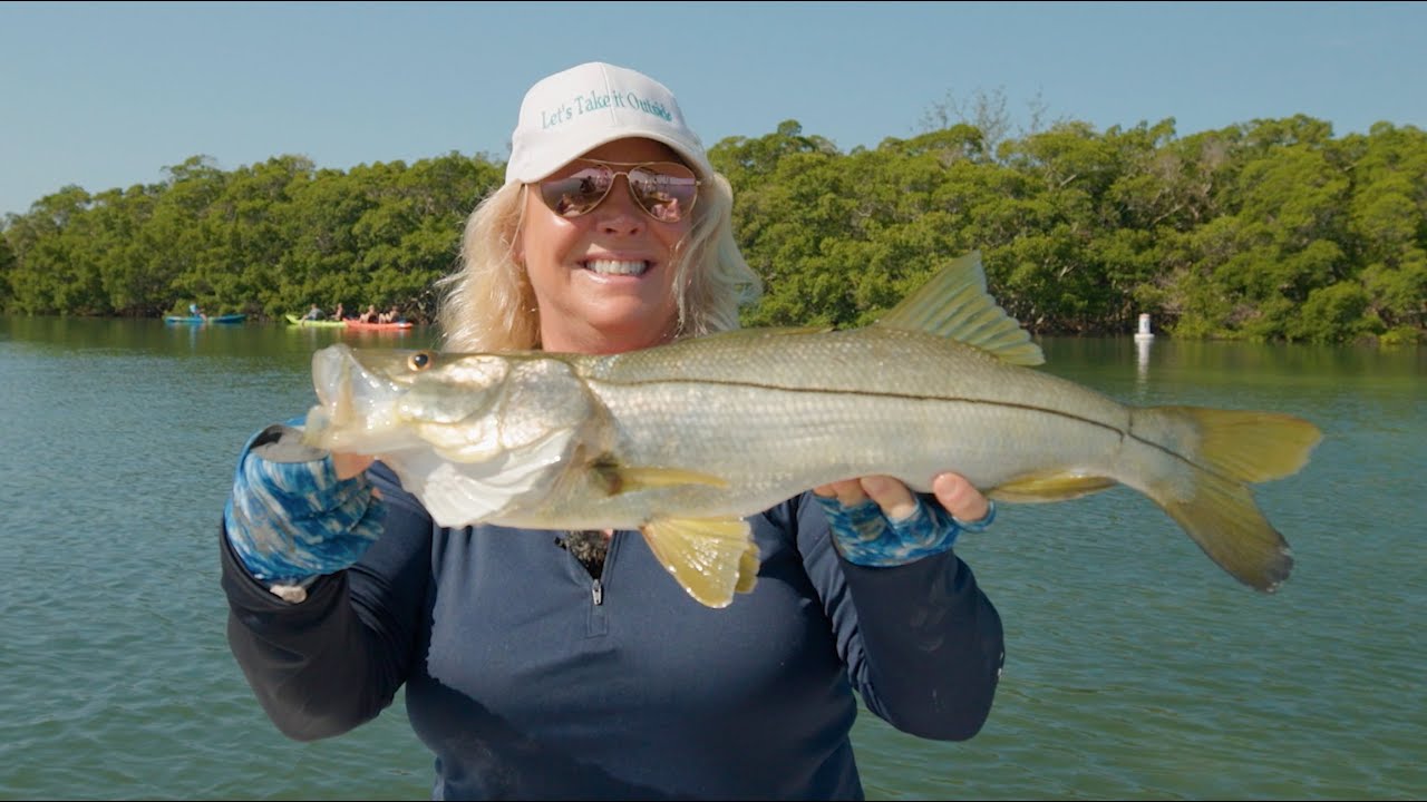 Sarasota, FL- Discover, Savor & Explore the Beaches & beyond