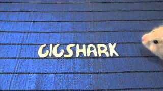 GigShark app teaser #1!