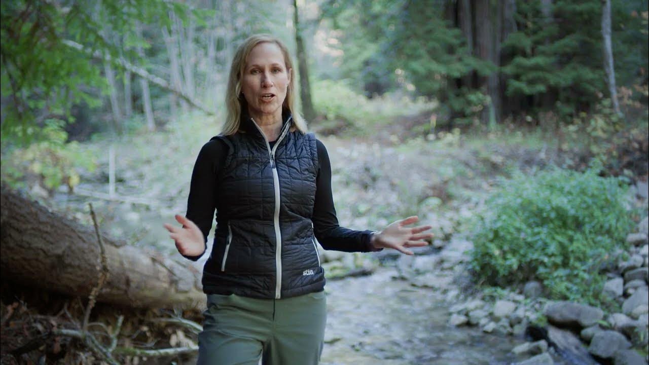 Introduction to Forest Bathing YouTube