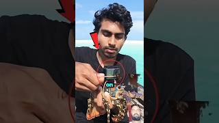 What Happened If You Put Tiny Camera On A Lobster 😱