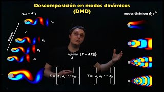 Descomposición en modos dinámicos (DMD)