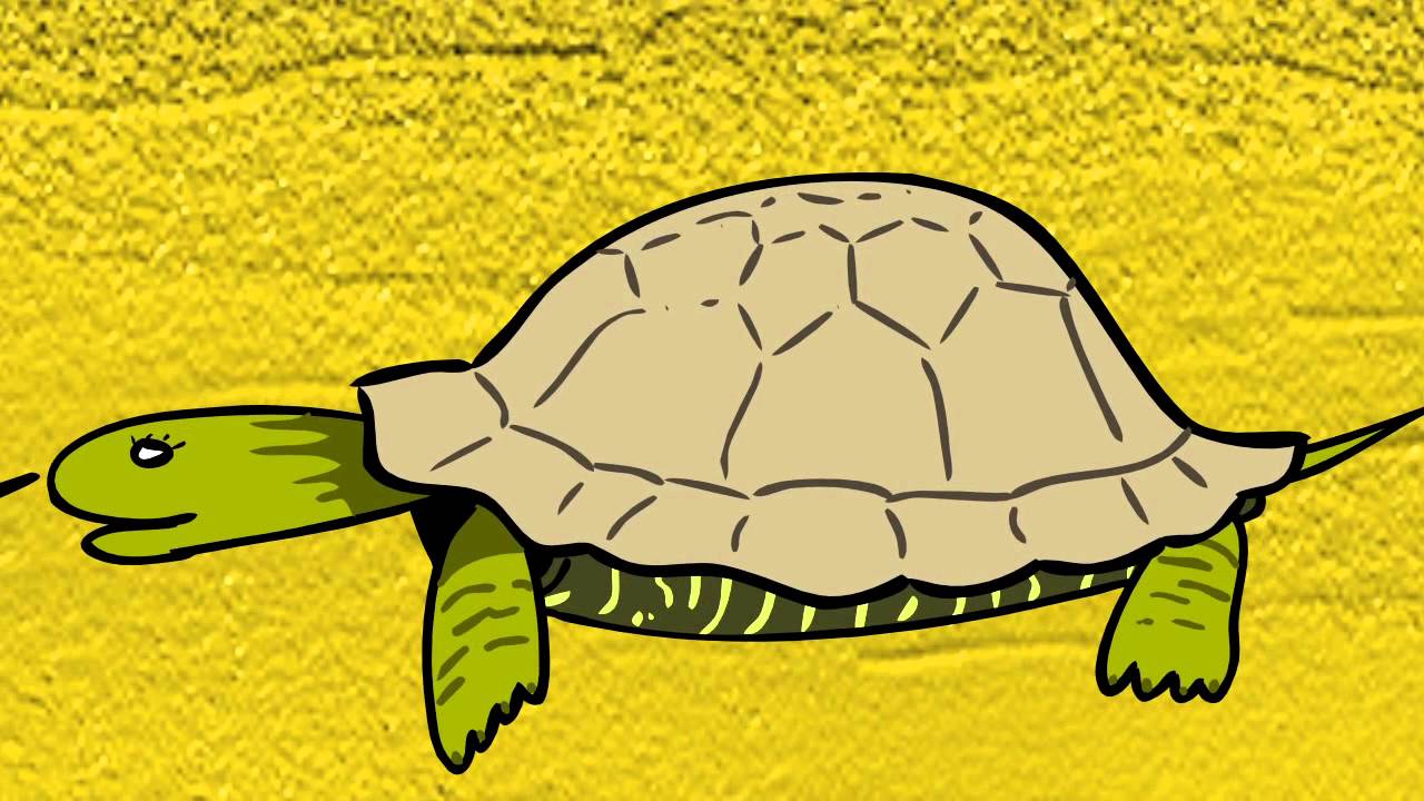 La Famille tortue - Label Enfance et Musique ©