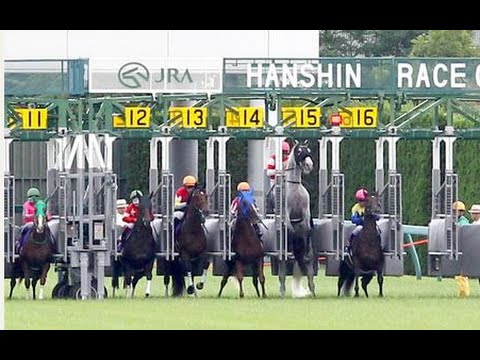 宝塚記念  ゴールド大出遅れ15着大敗