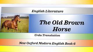 The Old Brown Horse Urdu Translation New Oxford Modern English Grade 6