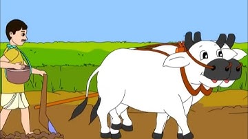 Class 4 EVS Chapter - 14 "Basva