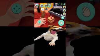 #dogs  #mypets #games screenshot 4