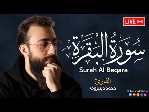 سورة البقرة كاملة للشيخ محمد ديبيروف لطرد الشياطين من منزل وجلب البركة باذن اللهSurat Albaqara 