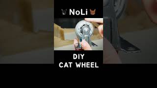 Diy Cat Wheel