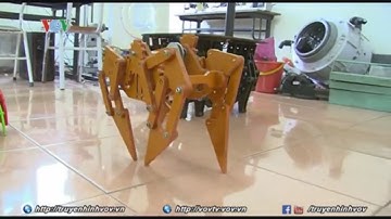 Sáng chế Robot di chuyển hàng và người | VOVTV