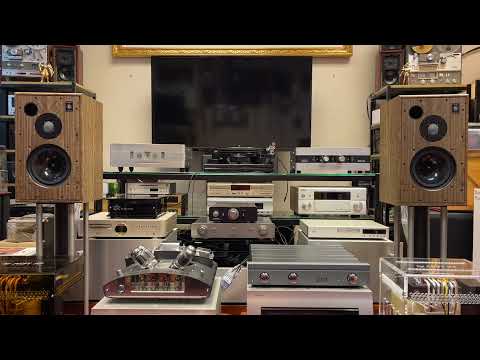LFD AUDIO NCSE