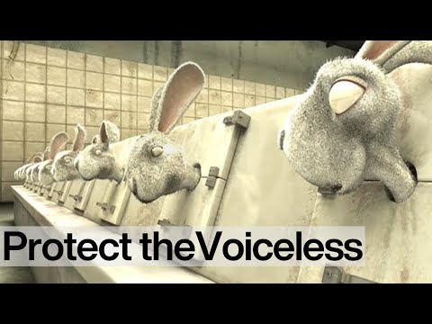 End Cosmetics Testing On Animals