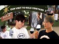 Korean Dost visits Indian Vineyard! | Koreans Roadtrip in India | [KD in India EP. 5]