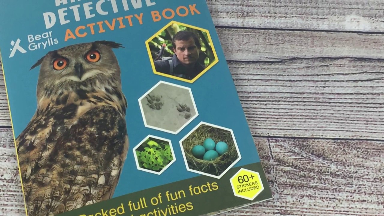 A Look Inside Animal Detective Activity Book by Bear Grylls 