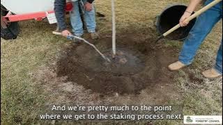 03 waterintreescc 1080p