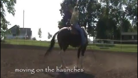 Race: Counter Bending & Moving On Haunches