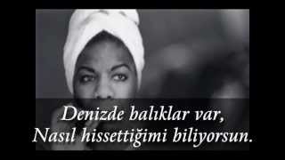 Nina Simone - Feeling Good (Türkçe Altyazı) Resimi