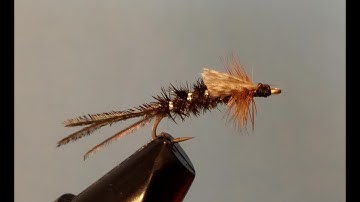 Zug Bug - Instructional Video - with music