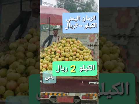 الكيلو الرمان اليمني بريالين