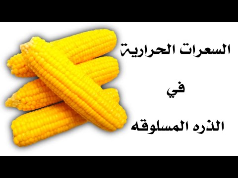 السعرات الحرارية في الذره المسلوقه كلش رائعه مع نظام غذائي صحي