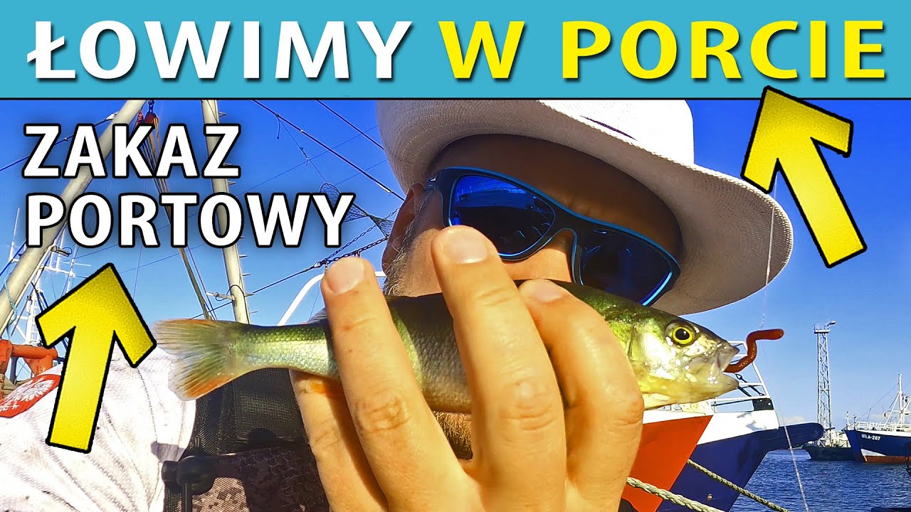 PORT ➤ spinning w porcie Władysławowo - jakie ryby?