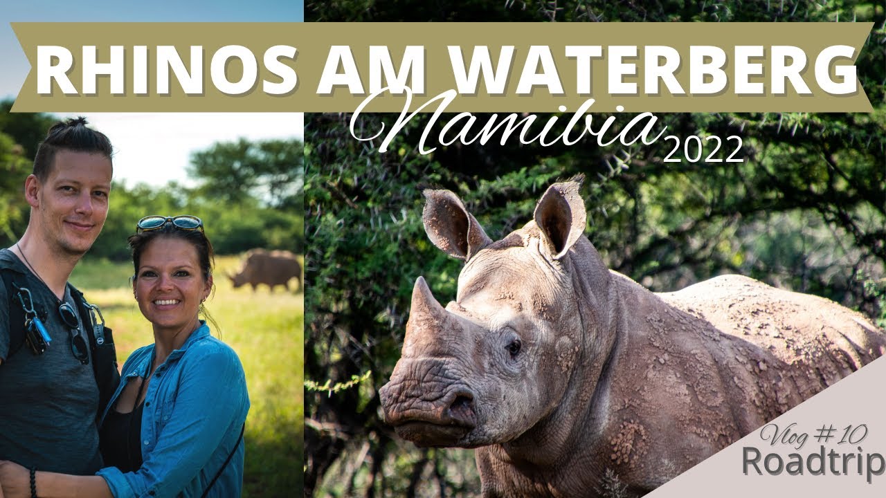 Rhinotracking am WATERBERG | Highlight unserer Namibia Reise | Namibia Vlog#10