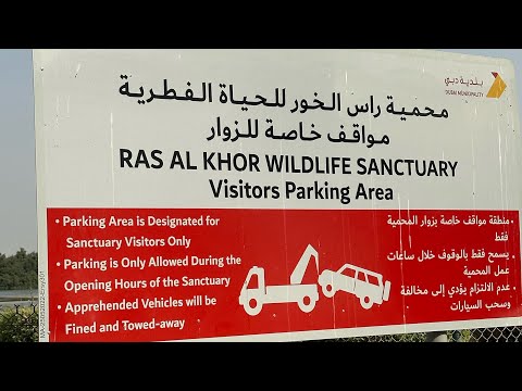 Ras Al Khor! Wildlife Sanctuary! Dubai!