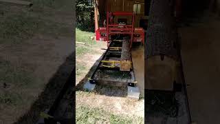 Milling hemlock into a cant! #homesteading #forest #trending
