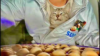 朝9時｜99%眠くなる