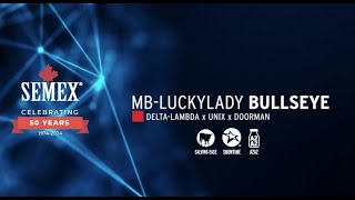 0200HO12376 MB Luckylady Bullseye Feb 2024