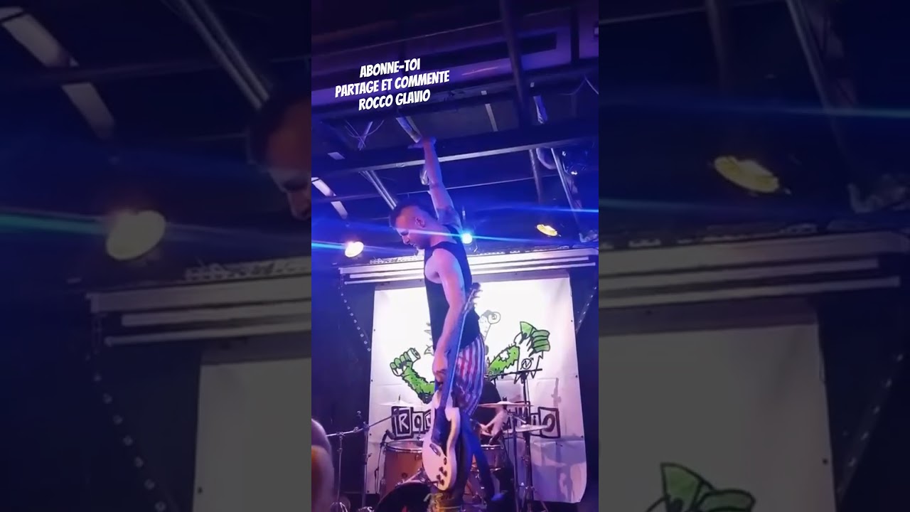 extrait d'un concert à Chambéry en 2025 Brin de zinc