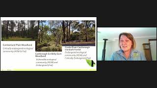 The Cumberland Plain Woodland Restoration Program | 2021 National Landcare Conference