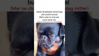 Pith Pichhe Burai🥲#tweetreels#aesthetic#lofichill#brokenheart#sadquotes#sad#lofimusic#thoughts#funny