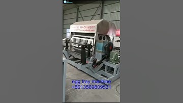 4*8 egg tray forming machine