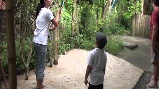 Noah Rambutan Picking San Pablo Laguna