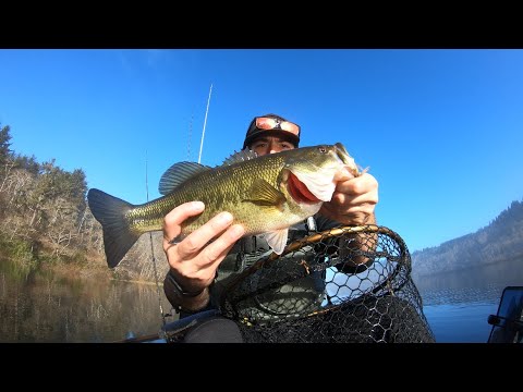 January California Kayak Bass Fishing