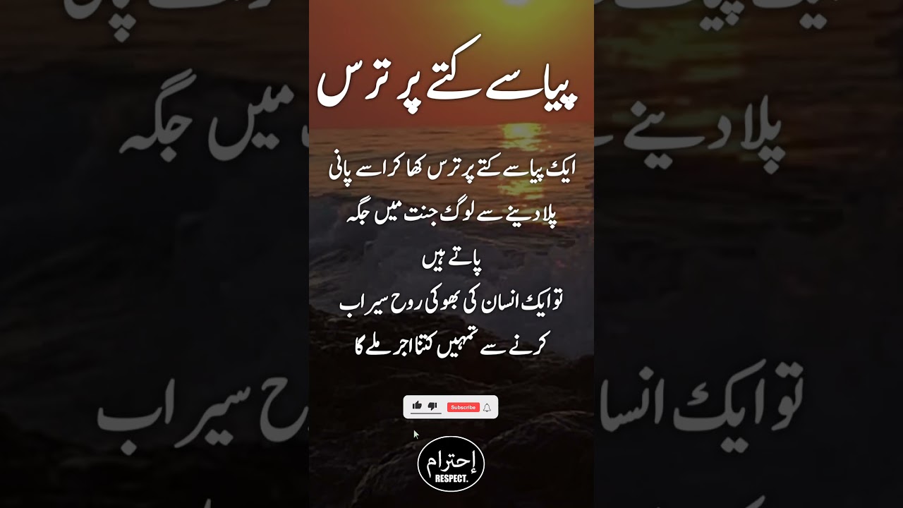 Heart Touching Urdu Quotes | Motivational Hindi Quotes | Urdu Quotes Status #shorts(1)