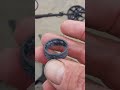 minelab manticore chewing on a silver ring