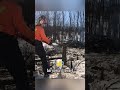 Chainsaw Kickback, Deadly Risk If Mishandled #shorts