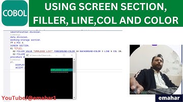 USING SCREEN SECTION | COBOL