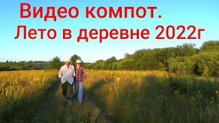 Лето в деревне Высоково Кологривского р-на.2022г.
