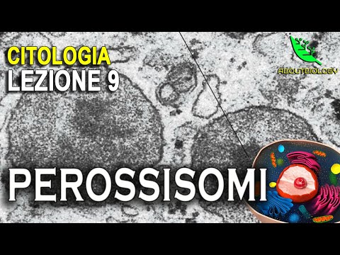 I PEROSSISOMI -Citologia Lezione 9