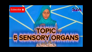 5 SENSORY ORGANS:- BY OUR STUDENTS #s2academy