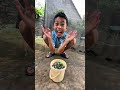 Hiệu ứng domino v&agrave; r&ocirc; phi ng&acirc;m hạt nở 1 đ&ecirc;m #nangkhieuvip #funny